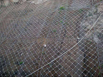 温州钢丝绳网